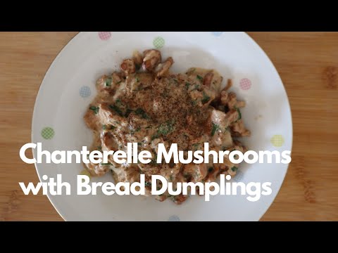 Chanterelle Mushrooms with Bread Dumplings (Eierschwammerlsauce mit Semmelknödel)