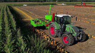 فروش ماشین برداشت کدو تنبل Şimşek Makina S-6000 - تصویر 2 | Agronetto IR ماشین برداشت کدو تنبل Şimşek Makina S-6000 جدید | تصویر 2 - Agronetto