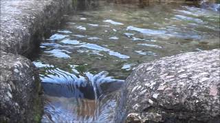 preview picture of video 'Gualdo Tadino lo scorrere dell'acqua sorgente di capo d'Acqua appennino umbro'