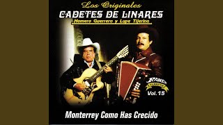 Monterrey Como Has Crecido