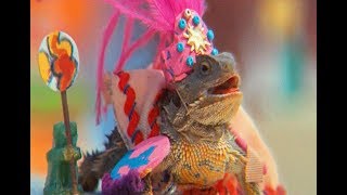 Ariel Pink - Dinosaur Carebears (Music Video)