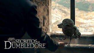 Deleted Scene: Hogwarts Owlery - Fantastic Beasts: The Secrets of Dumbledore