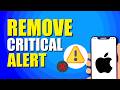 How To Remove Critical Alert From IPhone Quick Easy