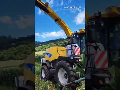 Silagem no capricho e serviço bem feito no campo 💪🔥New Holland FR9050 a todo vapor