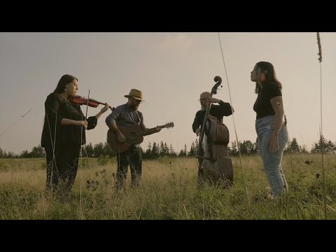 Emma Stevens - The Ballad of Shubenacadie (Official Video)