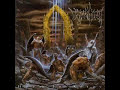 Here In After - Immolation