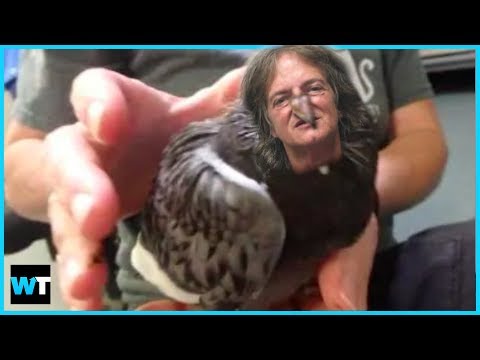 Woman Uses Pigeon As A Weapon?!
