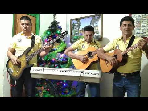 que diciembre tan solo. los hermanos Salgado. #musica