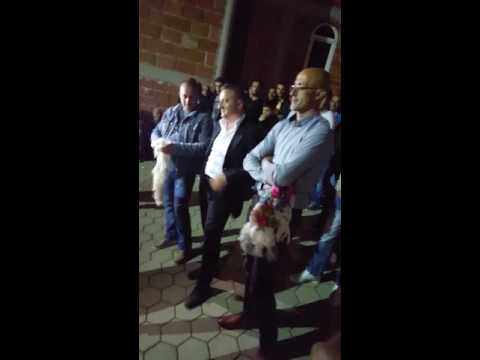 Besjana kertusha live ne gurgurnic