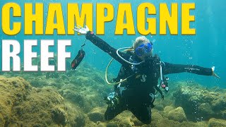 A BUBBLING REEF? Scuba Diving Champagne Reef In Dominica - Ep 123