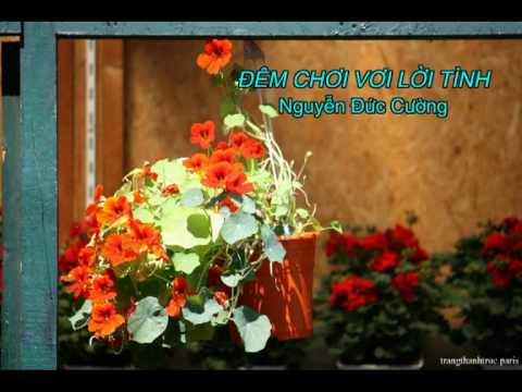 Đêm chơi vơi lời tình - Thiên Kim