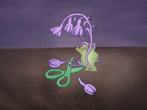 Sergio Díaz De Rojas - Forgotten Fragments (Full Album)