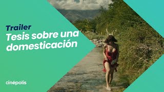 Trailer Preview Image