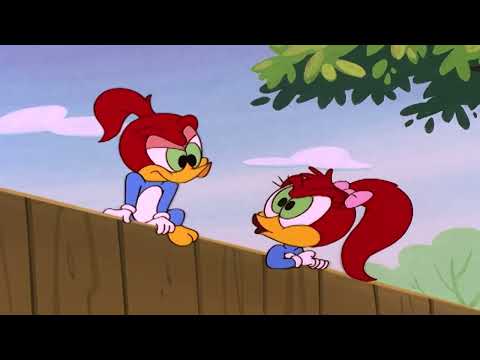 Woody Woodpecker s01e110