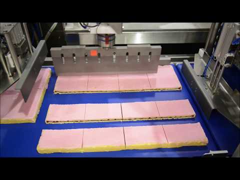 RoboSONIC Inline Pro - Ultrasonic Cutter