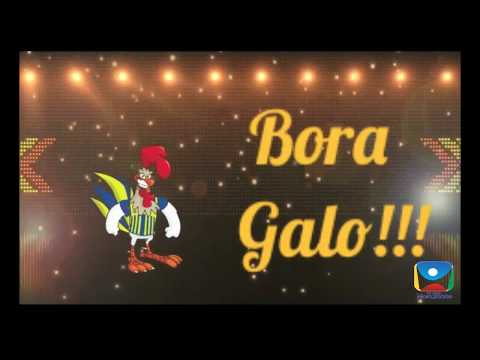 Horizonte x Tubarão do Pára