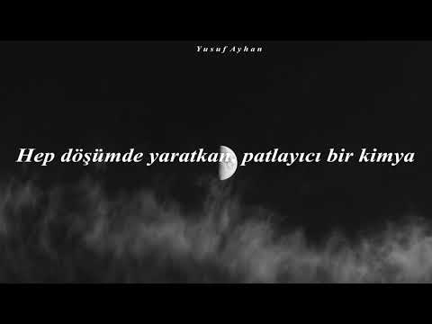 İsmet Özel - Yaşamak Umrumdadır I Sözleri