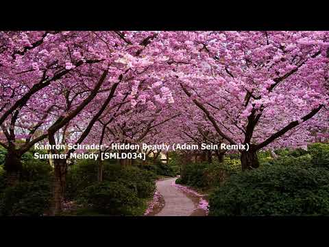 Kamron Schrader - Hidden Beauty (Adam Sein Remix)[SMLD034]