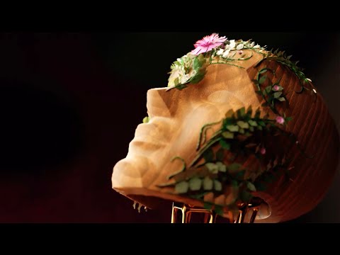 Maddox Jones - Somewhere There's a Plan (Believe it) | Official Video