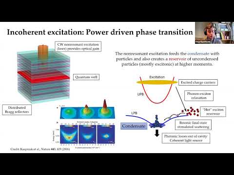 Programmable networks of exciton-polariton condensates