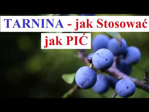 TARNINA - jak PIĆ jak STOSOWAĆ