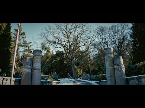 Nikon ZR - RED R3D Raw 6K / Hodruša - Hámre, Arborétum Mlyňany SAV /