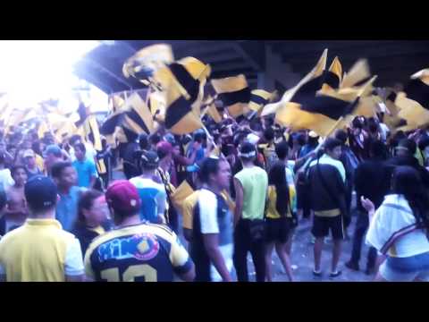 "PREVIA AVALANCHASUR1997" Barra: Avalancha Sur &bull; Club: Deportivo Táchira