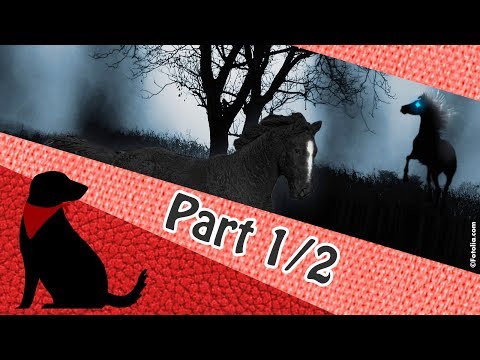 A3360 - Schrecken der Nacht # DAS HÖRBUCH Part 1/2