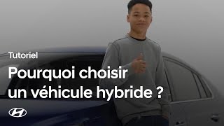 Miniature de la vidéo