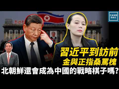 習近平到訪前金與正指桑罵槐，北朝鮮還會成為中國的戰略棋子嗎？｜天高海闊 20260608｜#美國  #政治  #國際新聞  #中國