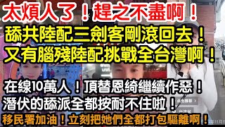 [問卦] 亞亞是不是和某些台灣人很像？