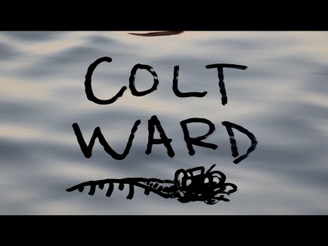 Colt Ward Dance In the Rain