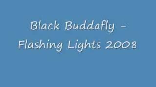 Black Buddafly Flashing Lights 2008