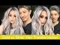 Gold to Silver Hair Transformation Gold to Silver Hair Transformation