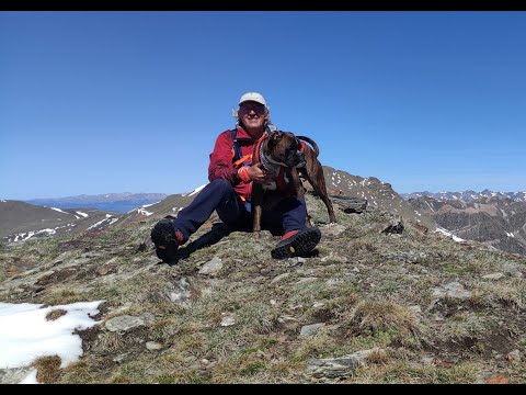 Coma de Vaca Noucreus 22