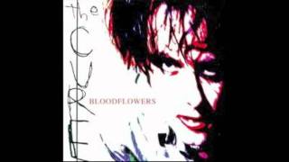 The Cure- Us Or Them