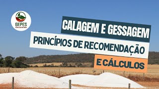 Calagem e gessagem: princípios e cálculos
