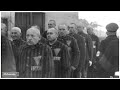 The Pink Triangle Prisoners The Nazis Persecution Of Homosexual Men