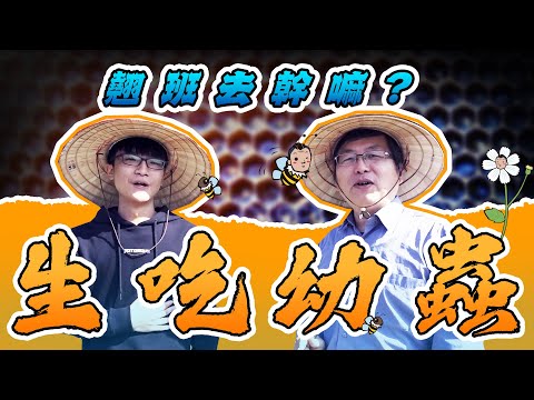 , title : '【翹班去幹嘛】EP.1 蜂膠研究大揭密，L生吃蜜蜂幼蟲!!!  台灣頂級綠蜂膠'