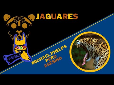 Belii - Jaguares