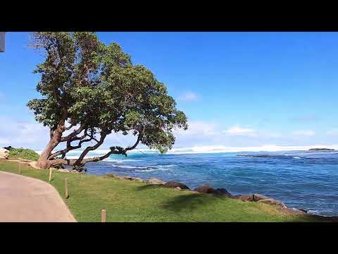 Go Walking!  Turtle Bay Resort on Oahu, Hawaii