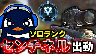 【ソロランク】今日もセンチネRu出動！ RPはスナイパーで盛る | Apex Legends