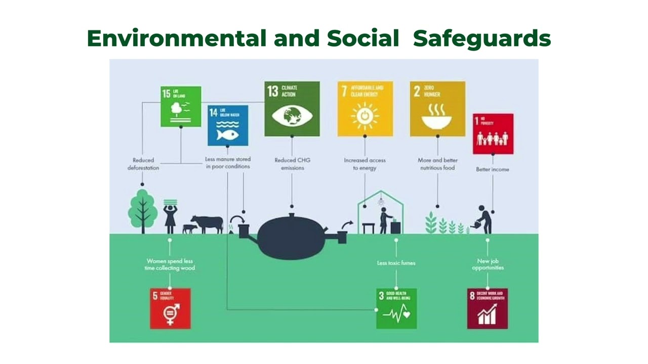 Regulatory framework and compliance