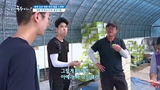 [새싹 농부 예찬 씨의 멜론 드라마] 멜론 부자(父子)의 동상이몽