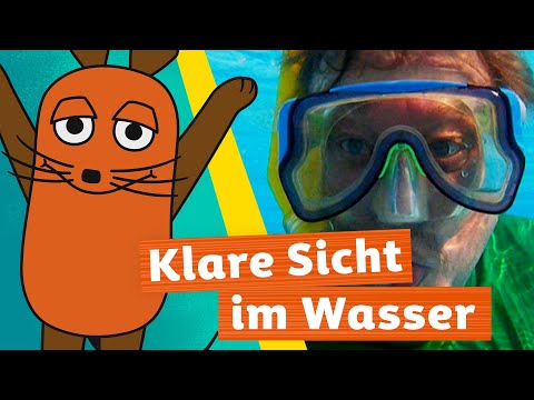 Warum beschlägt eine Taucherbrille unter Wasser? | Die Maus | WDR