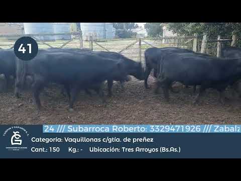 Lote VQ CGP - Tres Arroyos Bs As