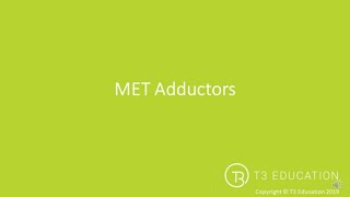 MET: Post Isometric Relaxation for the Adductor Group