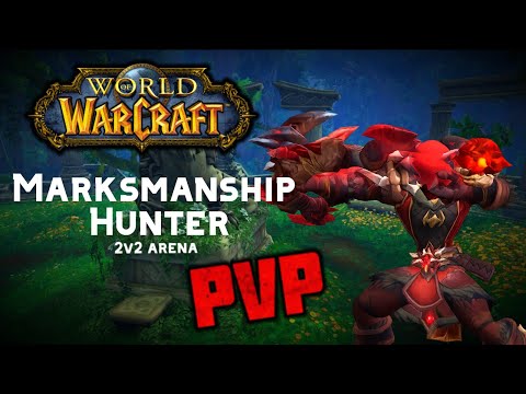 MM hunter BIG CRITZ PvP 2v2 arena I WoW The War Within arena
