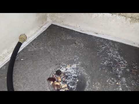 Fruit Flies Harbor in Kitchen in Manasquan, NJ