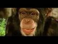 Jungle Book